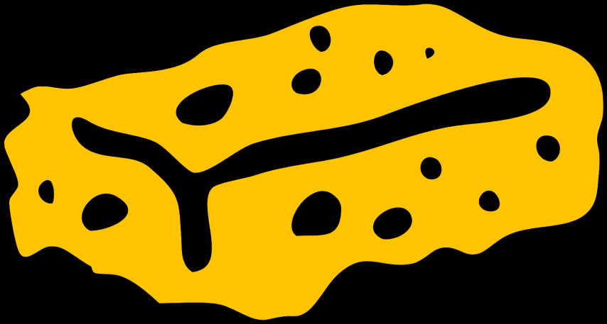 Spongee